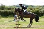 Wanborough Horse and Dog show